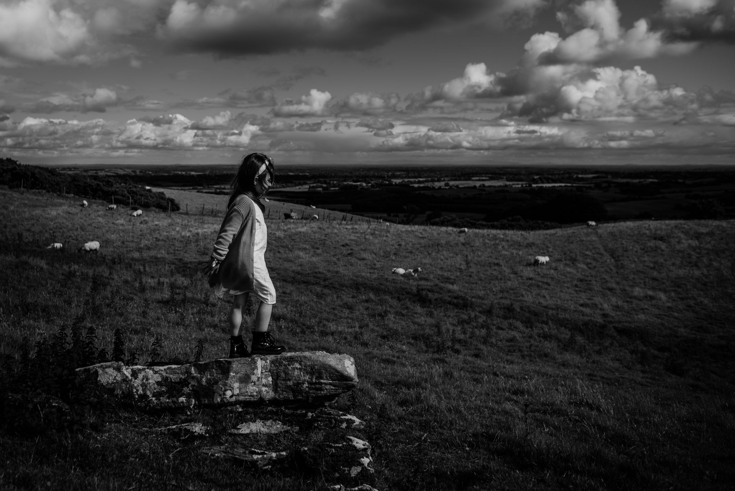 Girl standing on the rock watching the field