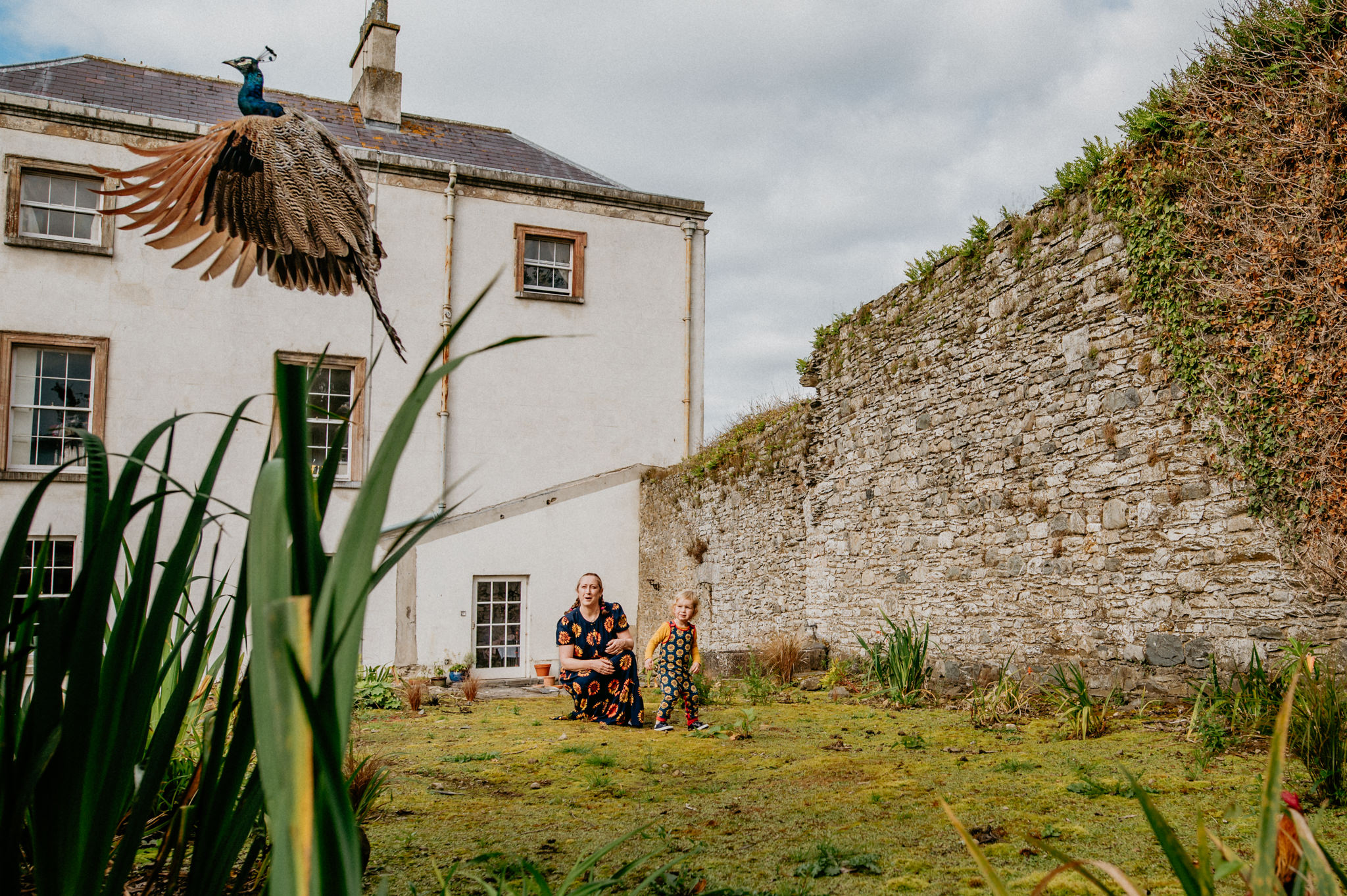 mother-and-son-watching-peacock-Rockfield-House-Kells-kristina-kelly-photography